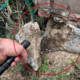 Foundation Inspection during Murfreesboro Home Inspection